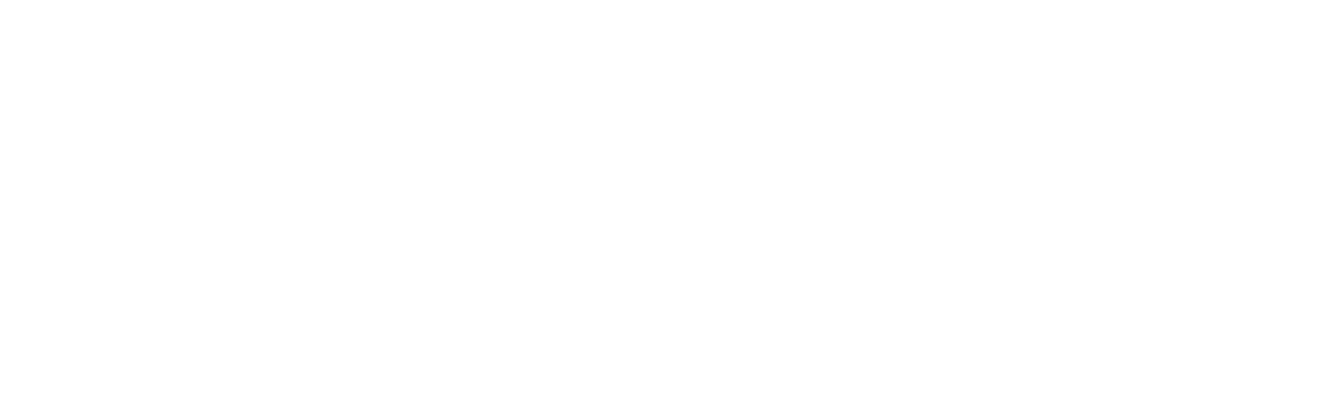 Strateegiaturundus logo